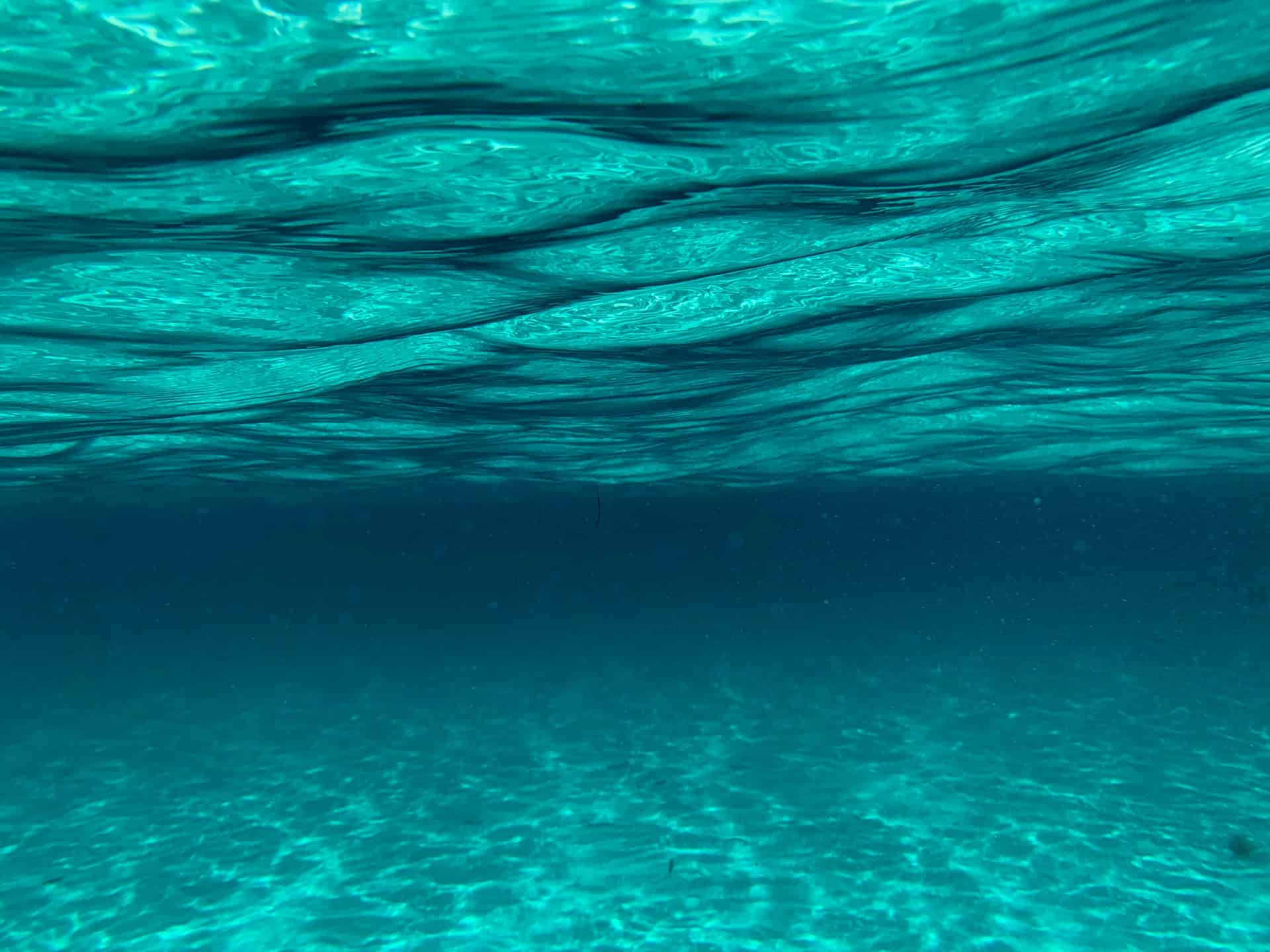 10 mało znanych ciekawostek dotyczących pływania